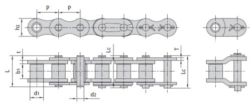 b11